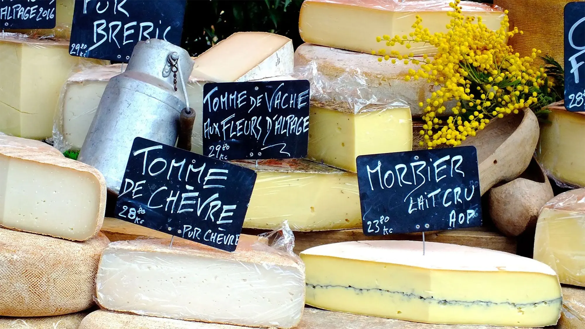 gettyimages-1041943928_web